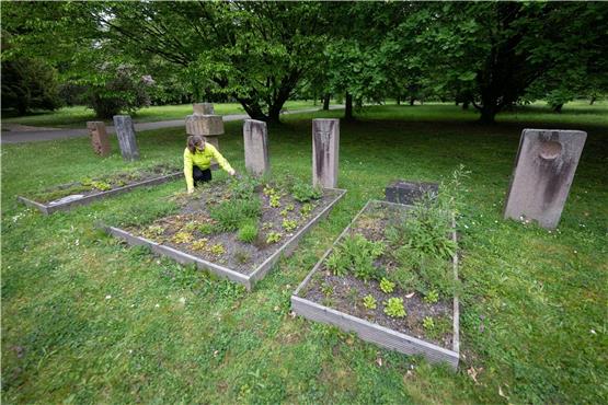 Lilith Stelzner, Naturschutzreferentin beim BUND Baden-Württemberg, kniet auf dem Hauptfriedhof neben Mustergräbern. Foto: Marijan Murat/dpa