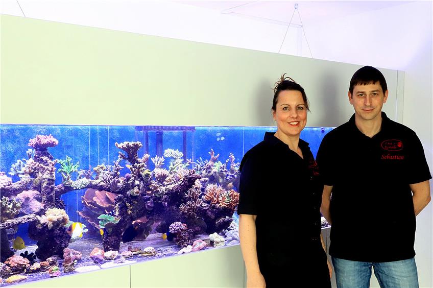 Lisa und Sebastian Blume vor ihrem Meerwasseraquarium.