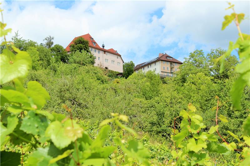 Malerisch und von Weinbergen umgeben liegt Schloss Roseck oberhalb von Unterjesi...