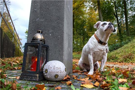 Manche Menschen wollen für immer mit ihrem Tier vereint sein. Auf dem Friedhof „Unser Hafen“ in Braubach (Rheinland-Pfalz) können sich Halter und Hund in einem gemeinsamen Urnengrab bestatten lassen. Foto: Heike Lyding/epd