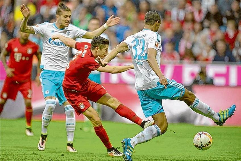 Mit diesem Linksschuss erzielte Robert Lewandowski in der 54. Minute das 1:0 gegen Schalke. Foto: dpa