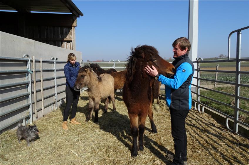 Mit ihrem Pferdehof haben sich Isabelle Köckritz und Jens Füchtenschnieder einen Traum erfüllt. Bilder: wuc