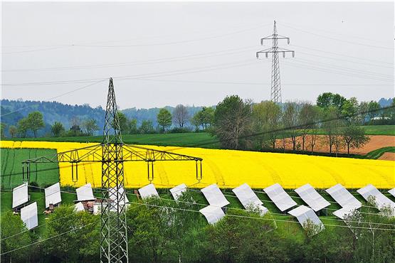 Nordstetten sammelt bereits seit Jahren Erfahrungen mit Freiflächen-Photovoltaik. Archivbild: Karl-Heinz Kuball
