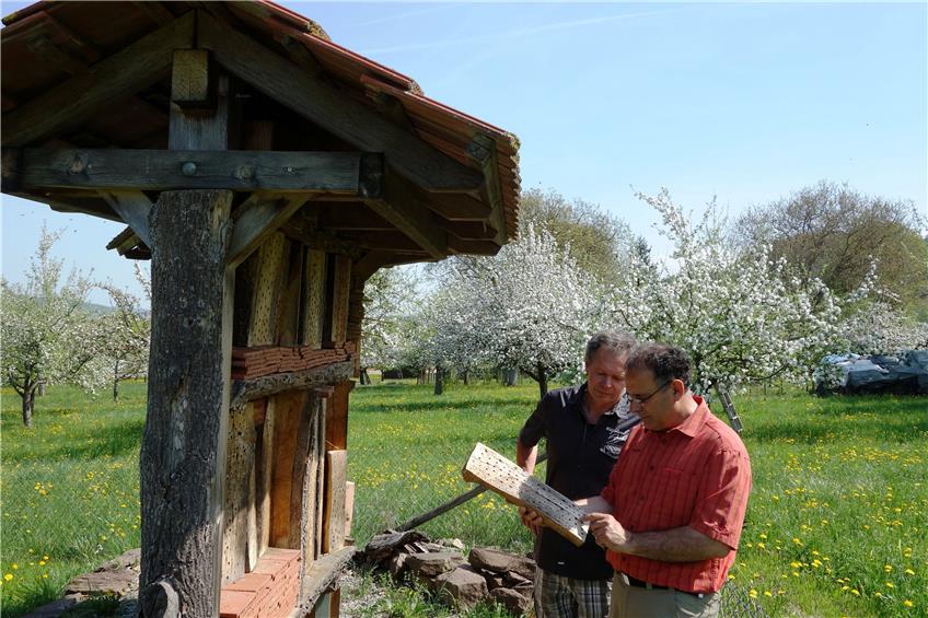 Peter Lanz (links im Bild) und Stefan Schwab (rechts) vom veranstaltenden Obst- und Gartenbauverein (OGV) führten Neugierige auf eine „Blütenwanderung“. Bild: Straub