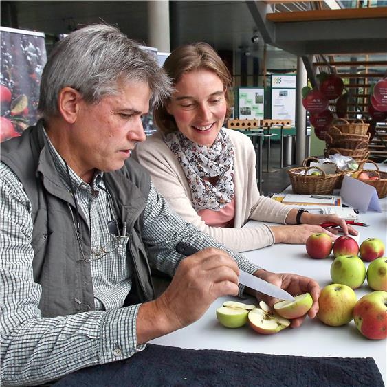 Pomologe Eckhart Fritz wird von Ursula Maurer vom Landratsamt beim Bestimmen der Obstsorten unterstützt. Bilder: Sommer