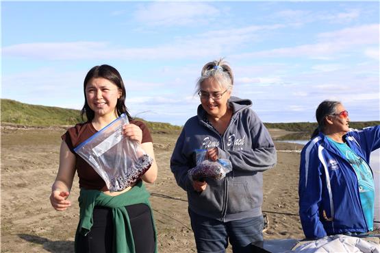Qapqan Patkotak (v. l.), Rene Opie und deren Tante Laura sammeln Beeren. Sie wollen die Traditionen ihrer Vorfahren erhalten.  Fotos: David Schmidt