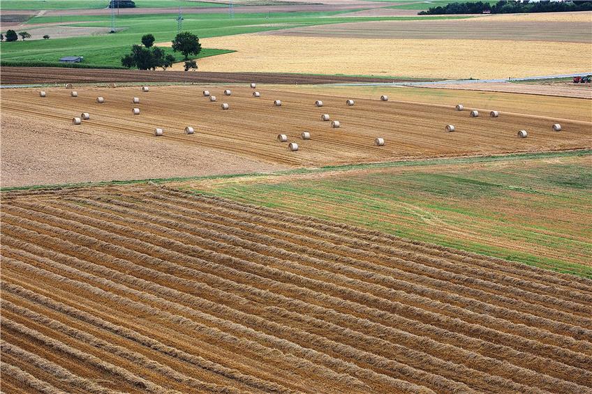 Stoppelige Felder, auf denen Ballen von Stroh und Getreide liegen: Die Ernte ist derzeit noch in vollem Gange. Bild: Karl-Heinz Kuball