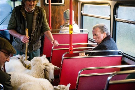 Tom (Timothy Spall) darf als Pensionär umsonst Bus fahren – und nutzt sie für eine Reise. Bild: Capelight Pictures