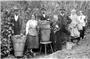 Um 1910 entstand dieses Foto als Erinnerung an die Weinlese in einem Rottenburge...