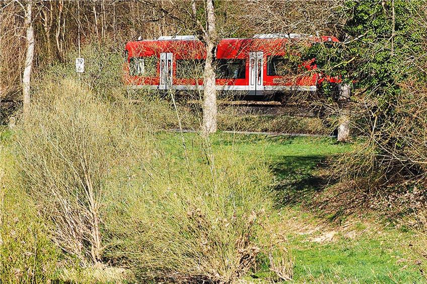 Verkehren die Triebwagen im beschaulichen Neckartal demnächst zusammen mit Fernzügen? Archivbild: Karl-Heinz Kuball