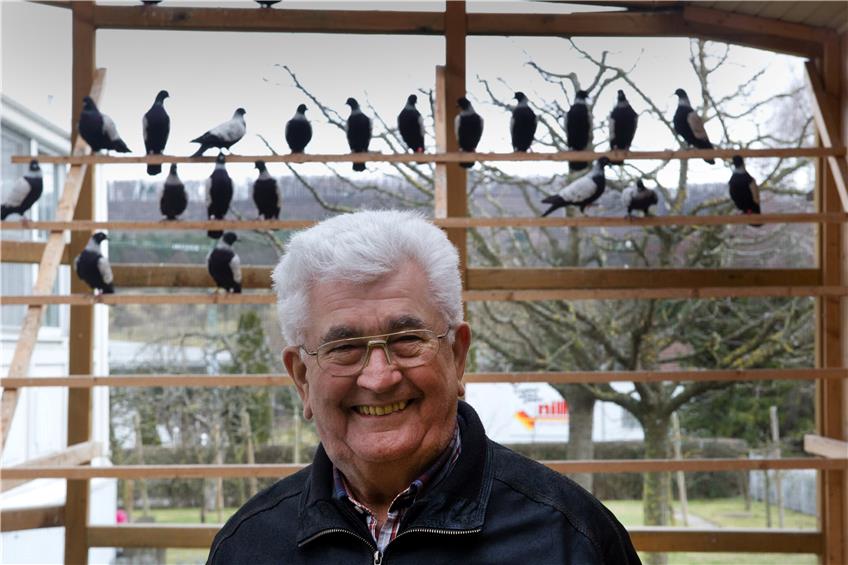 Walter Wagner hat schon viele Preise gewonnen – nicht nur für seine Tauben, sondern auch für seine Weißen Wiener. Archivbild: Franke