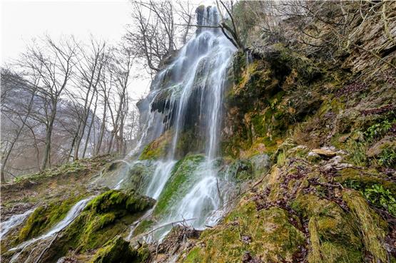 Wasser fällt am Wasserfall in Bad Urach in die Tiefe. Foto: Thomas Warnack/dpa/Archivbild