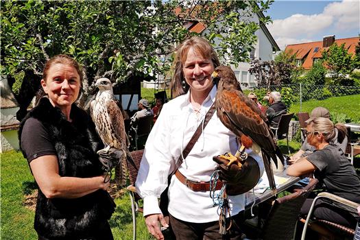 Wenn ein Falke zum Haustier wird: Eine Falknerin aus Bildechingen präsentiert beim Mittelalter-Biergarten in Straub’s Krone in Bildechingen. Bild: Karl-Heinz Kuball