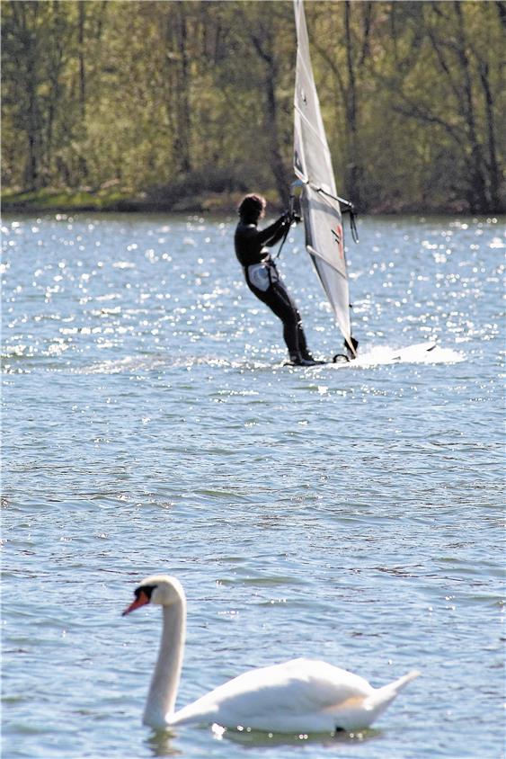 Windsurfer und Schwäne kommen auf dem See miteinander aus. Ob auch die Wakeboarder zum See passen, wird sich noch herausstellen. Archivbild: Metz
