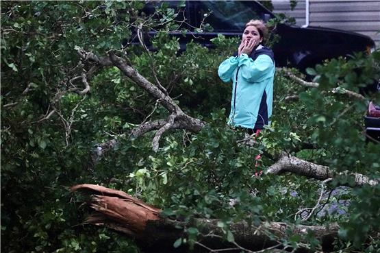 Wo ist mein Haus? Eine Frau inmitten entwurzelter Bäume. Bild: Joe Cavaretta/South Florida Sun-Sentinel 