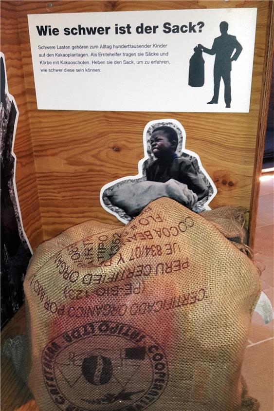Zum Ausprobieren: Über 30 Kilo wiegt der Sack Kakaobohnen bei der Ausstellung „Süß & Bitter“ im Rathaus-Foyer. Bild: Rekittke